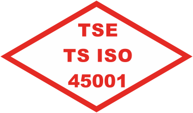 TSE 45001